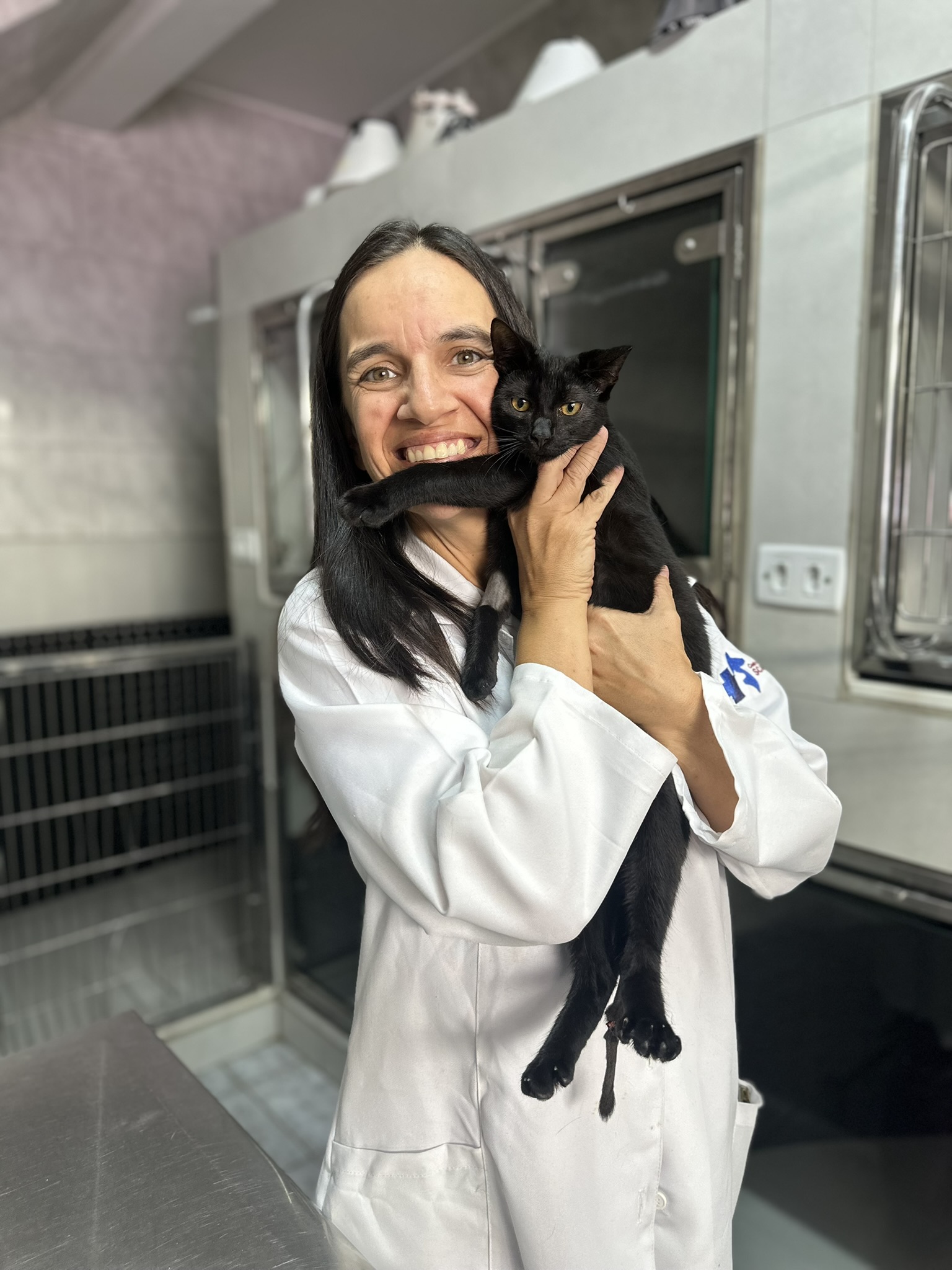Gatos atendidos na clínica veterinária em Araçariguama — Scalabrin Cat Friendly